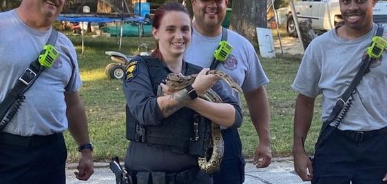 High Point firefighter with animal control officials rescue a snake in North Carolina.