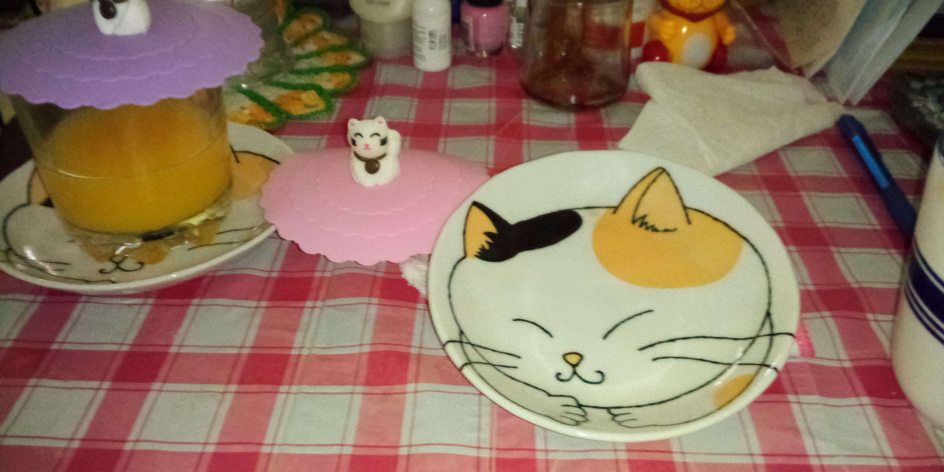 My cat fish and cat cup protector.