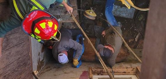 Image of a cow being rescued from a cellar in Virginia
