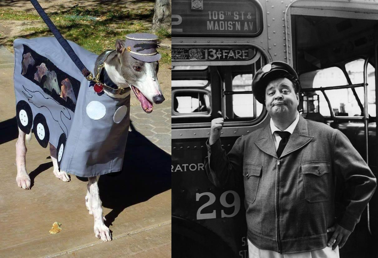 Combined images of a dog costume and Ralph Kramden of the Honeymooners. Combined images of a dog costume and Ralph Kramden of the Honeymooners.