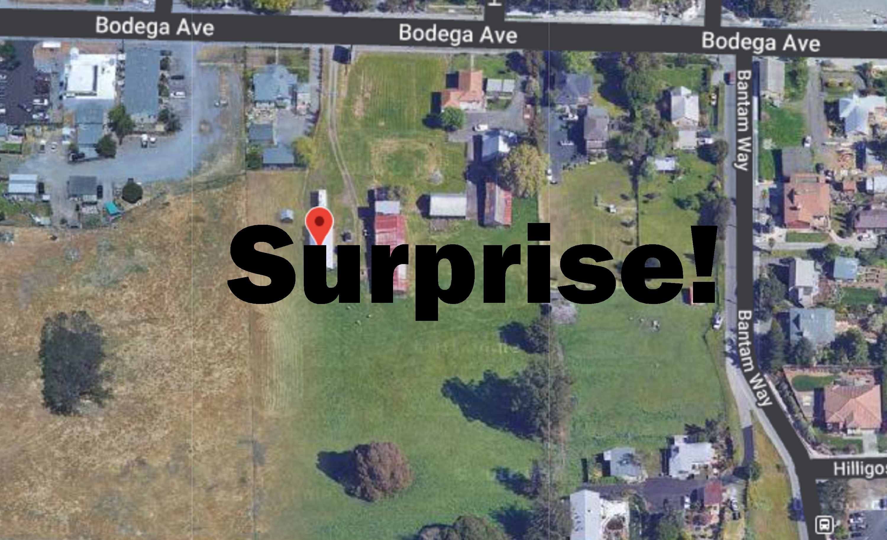 Satellite view of the outdoor preschool with SURPRISE! Added on Microsoft Paint Satellite view of the outdoor preschool with SURPRISE! Added on Microsoft Paint