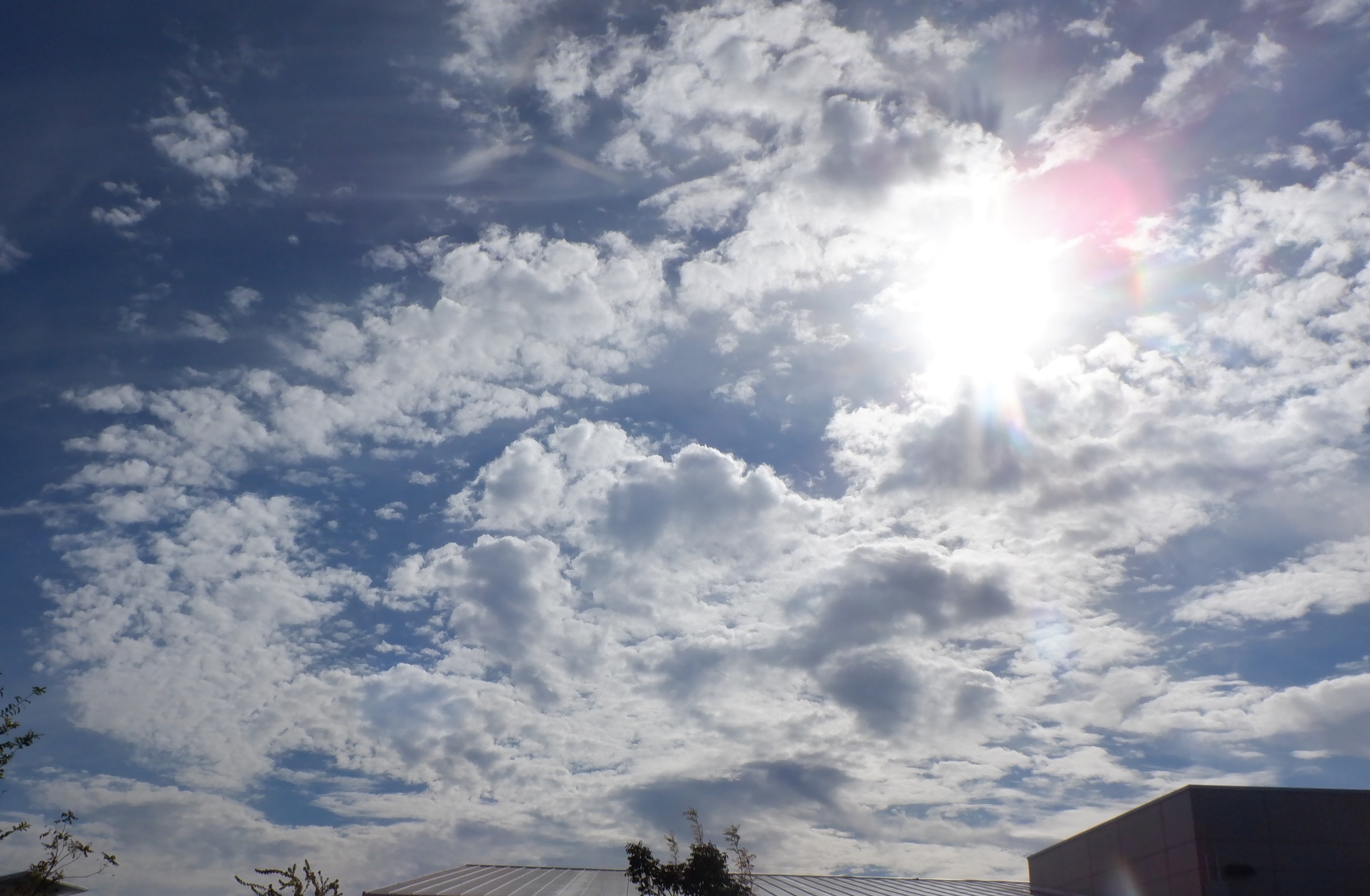 Photo taken by me 10-6-21