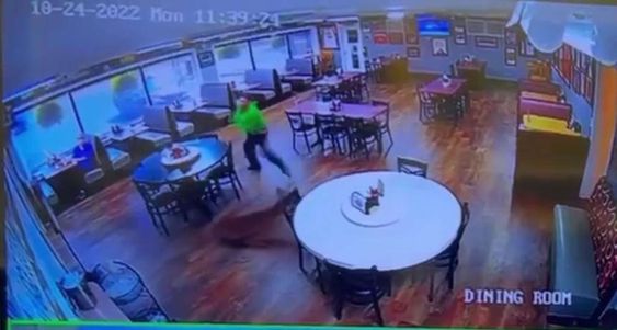 A deer entered a restaurant in Kershaw South Carolina A deer entered a restaurant in Kershaw South Carolina