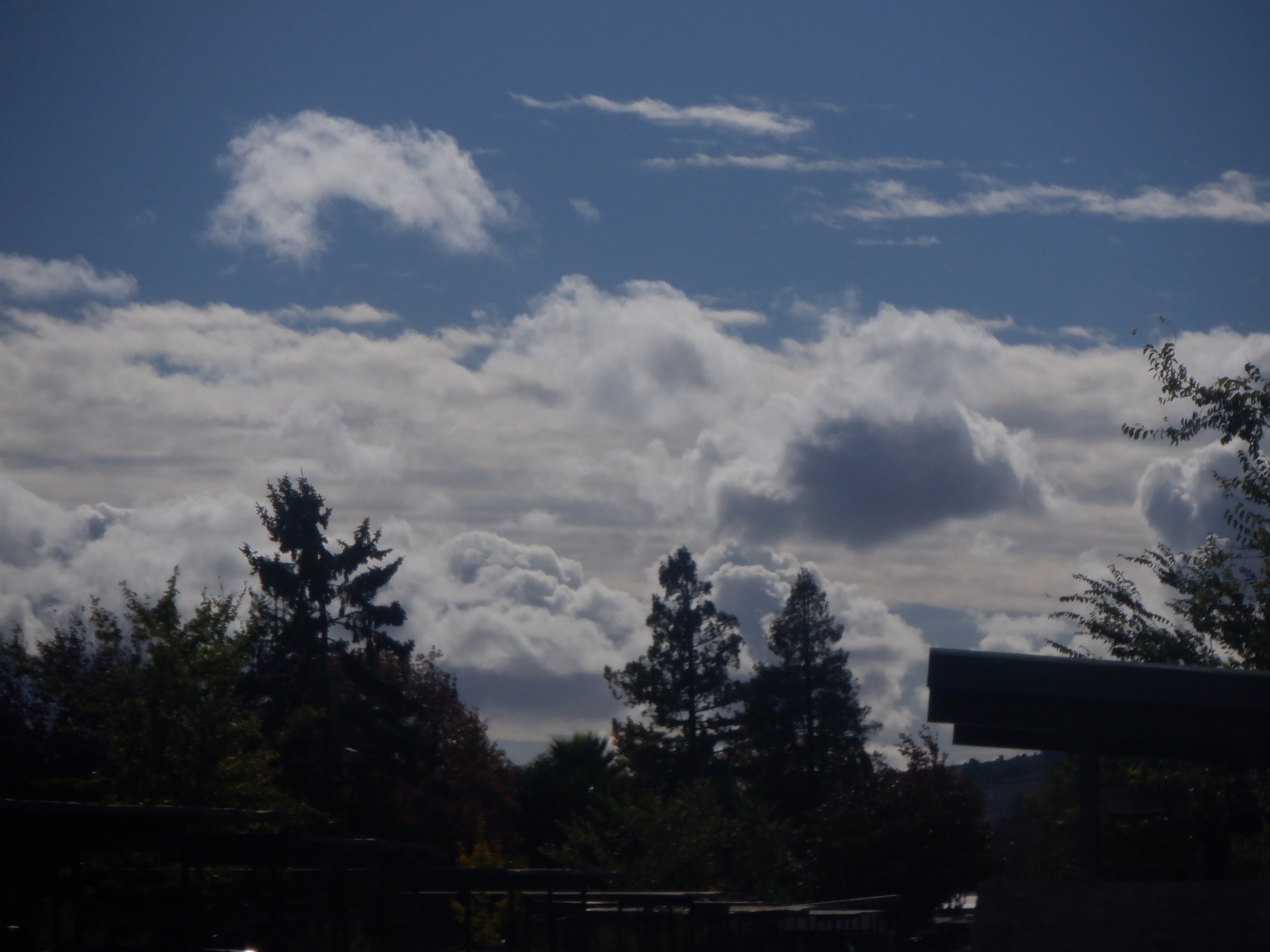 Photo I took of the clouds on a walk