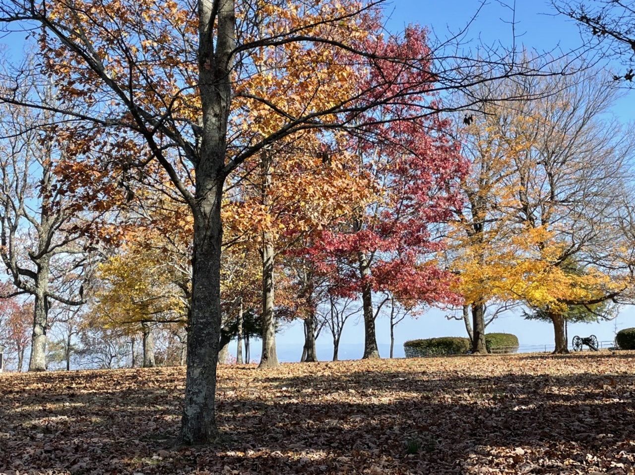 The Chattanooga National Battlefield with incredible beauty. Photo taken by and the property of FourWalls. The Chattanooga National Battlefield with incredible beauty. Photo taken by and the property of FourWalls.
