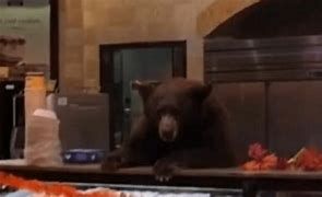 A bear enters a cafe in California on Wednesday evening.