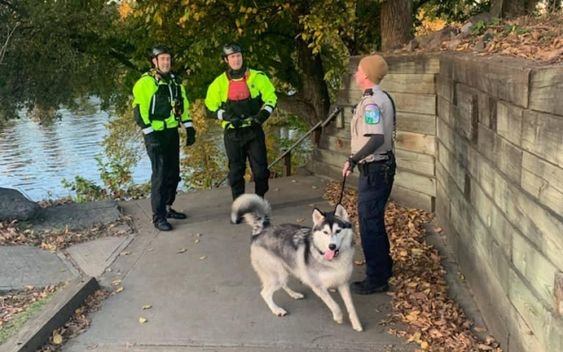 Firefighters and an animal care official near the James River in Virginia with a dog..