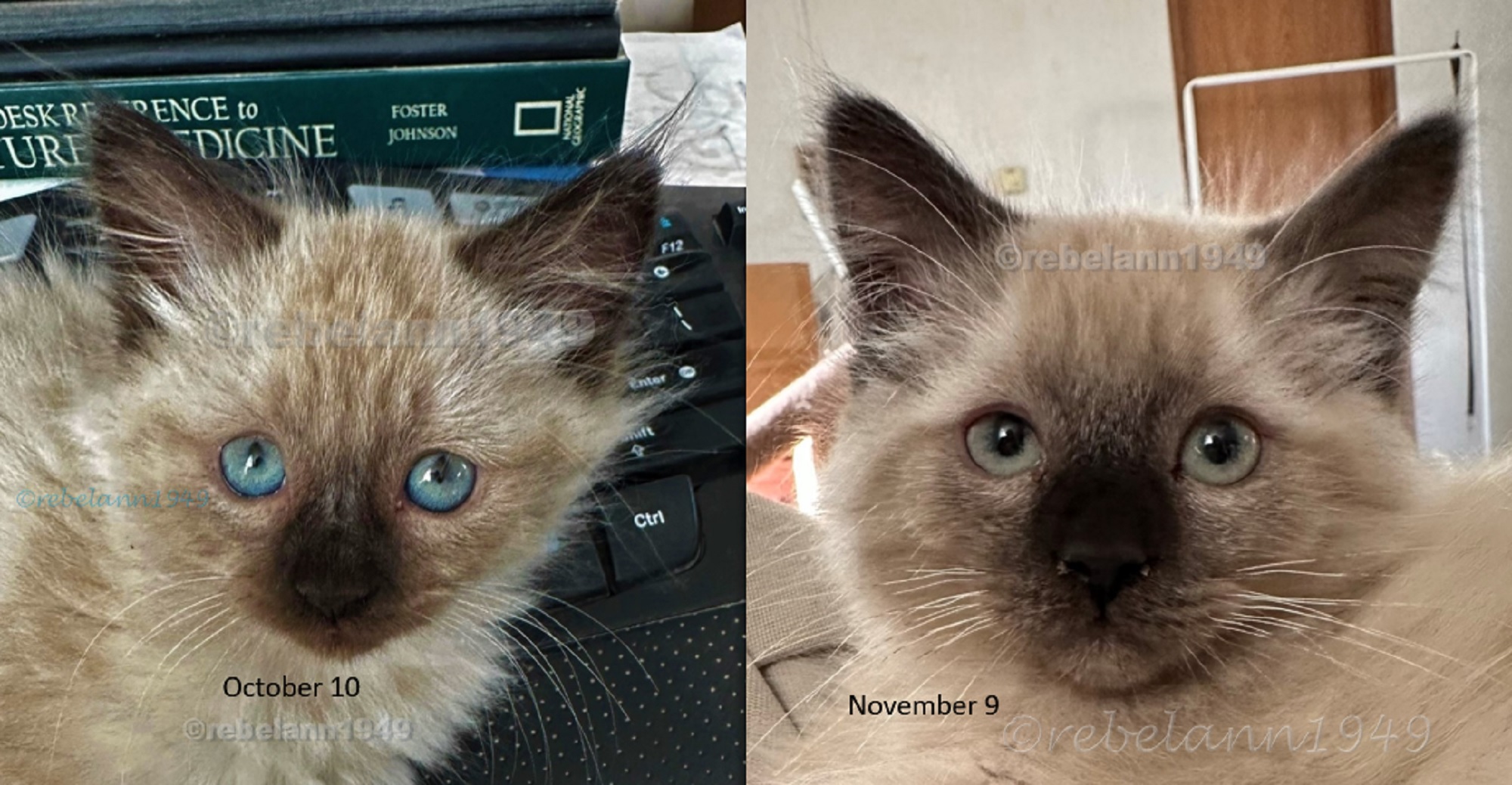 Eye color changed in less than 30 days. 