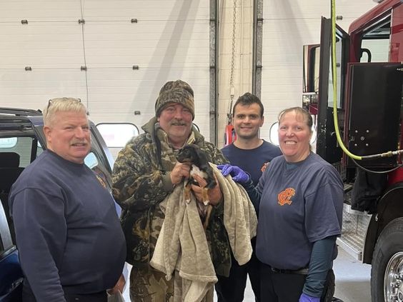 Coldwater Michigan firefighters save the life of a puppy Coldwater Michigan firefighters save the life of a puppy