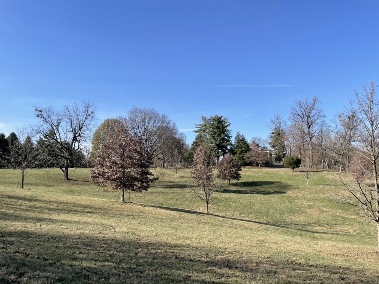 Joe Creason Park in Louisville, Kentucky.  Photo taken by and the property of FourWalls.