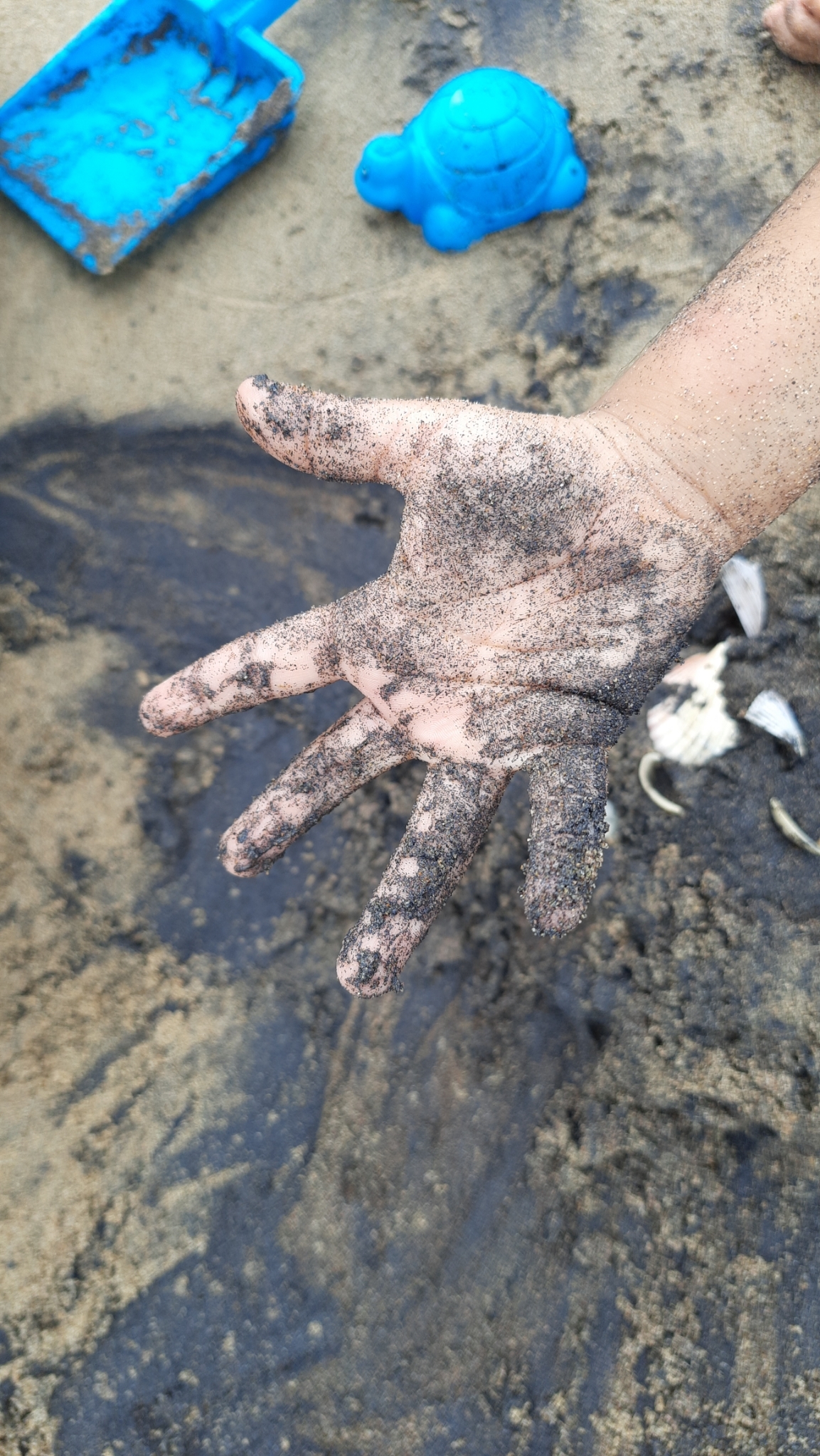 Black sand beach Black sand beach