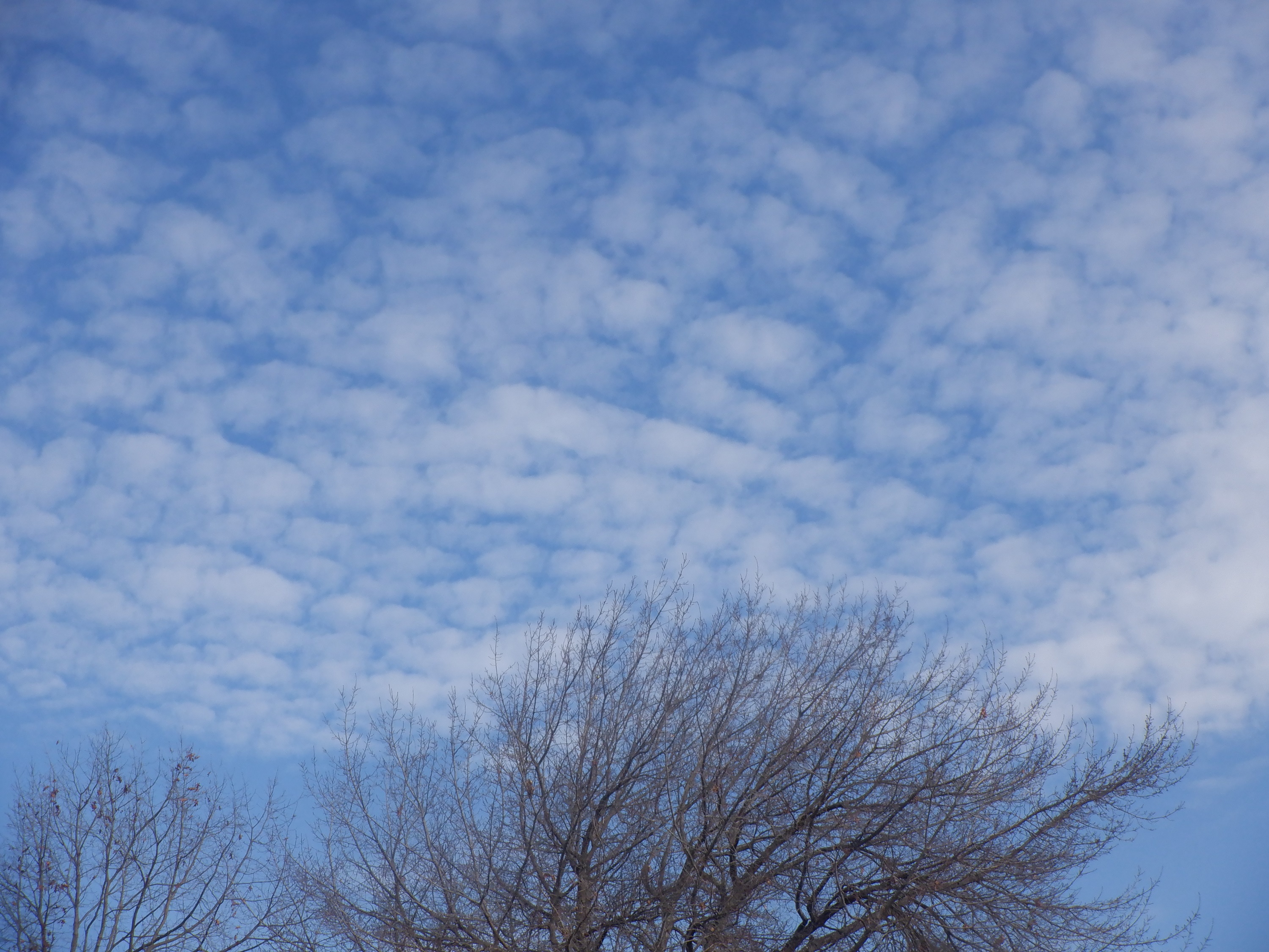 Photo I took on my morning walk 11-25-22