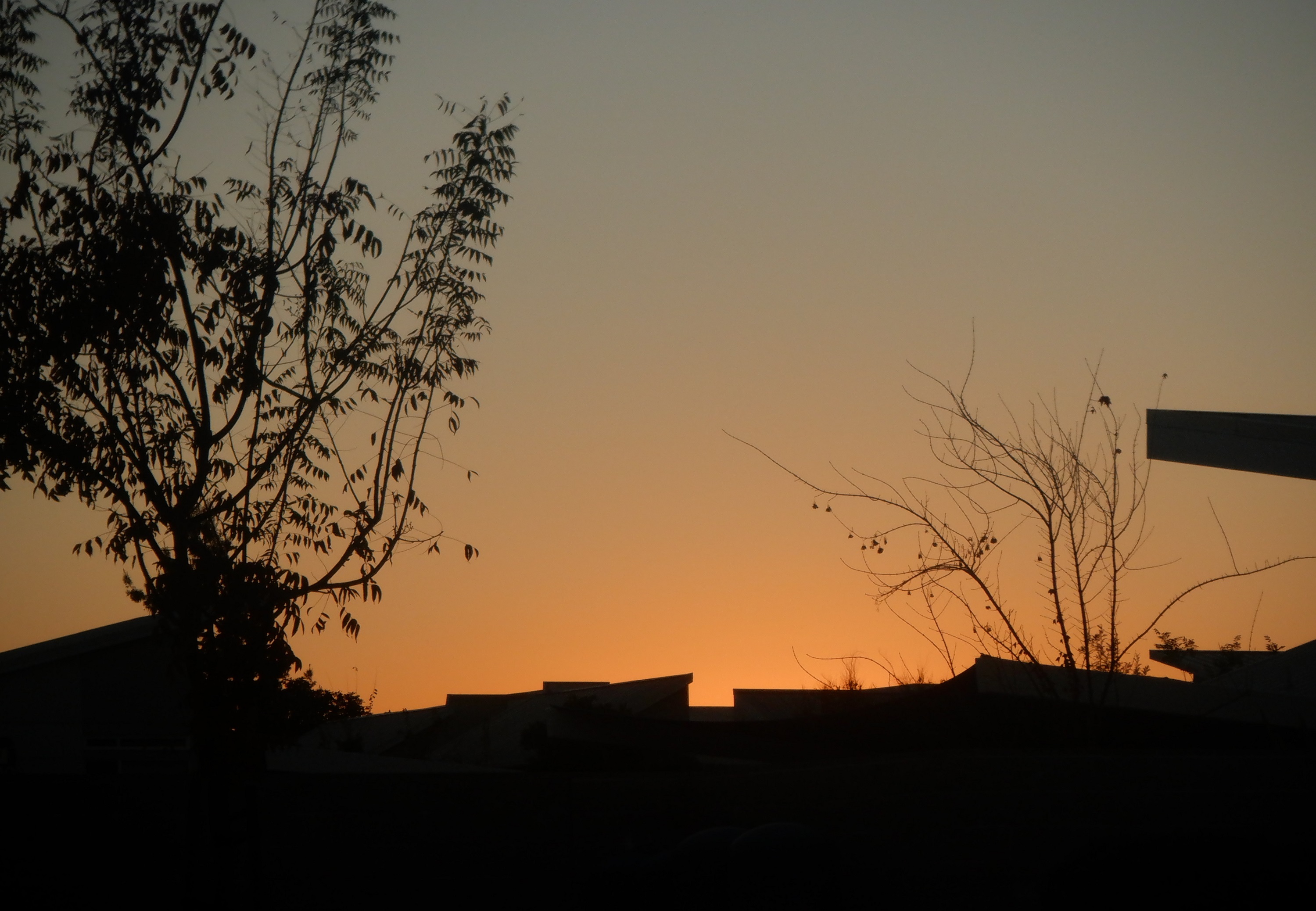 Photo taken by me 5:05 pm 11-25-22 Photo taken by me 5:05 pm 11-25-22
