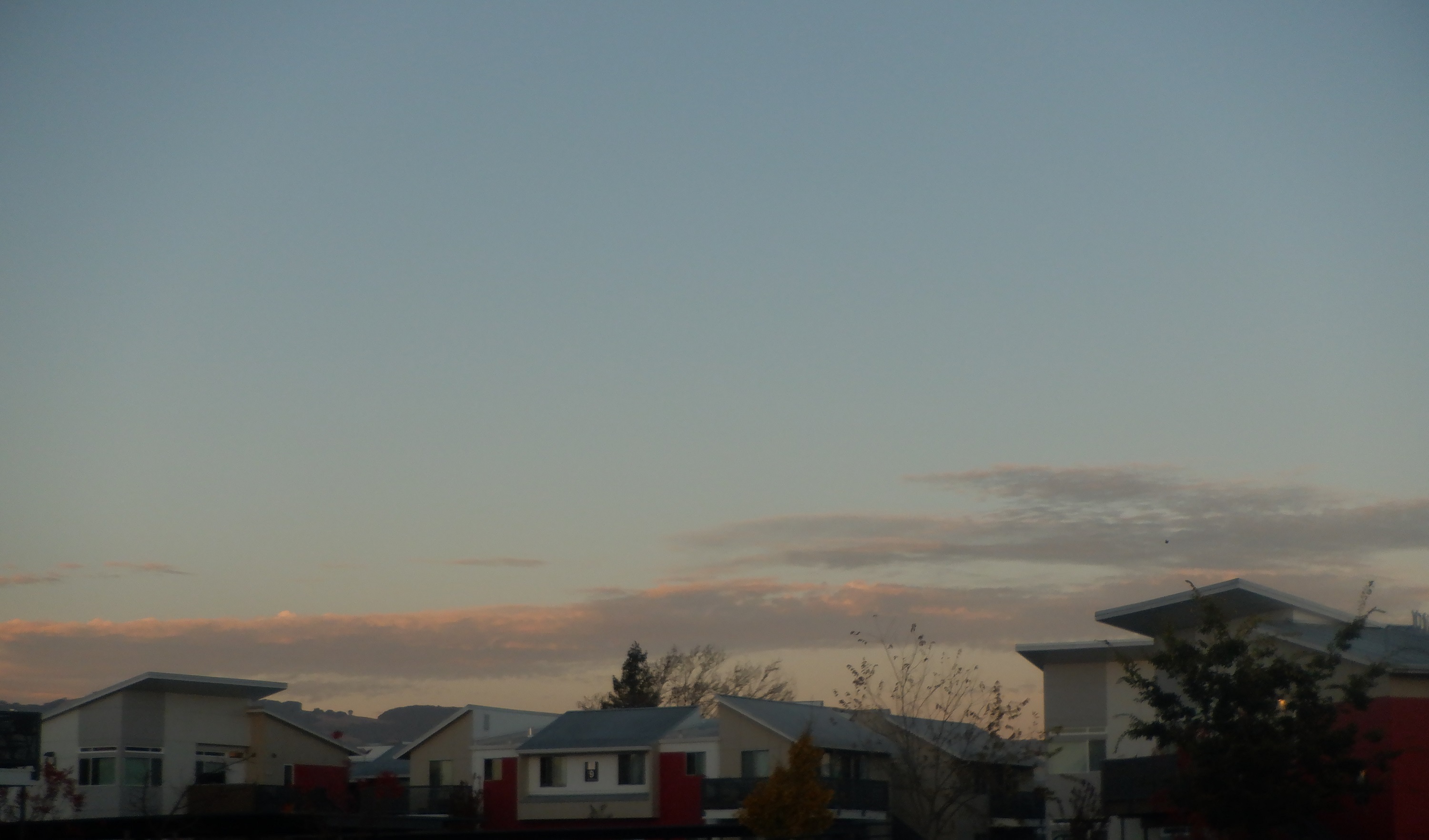 Photo taken by me yesterday evening Photo taken by me yesterday evening