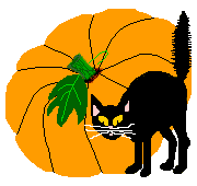 Halloween - Black cat and hallween pumpkin