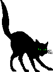 Halloween cat - black cat