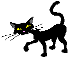 Halloween cat - black cat