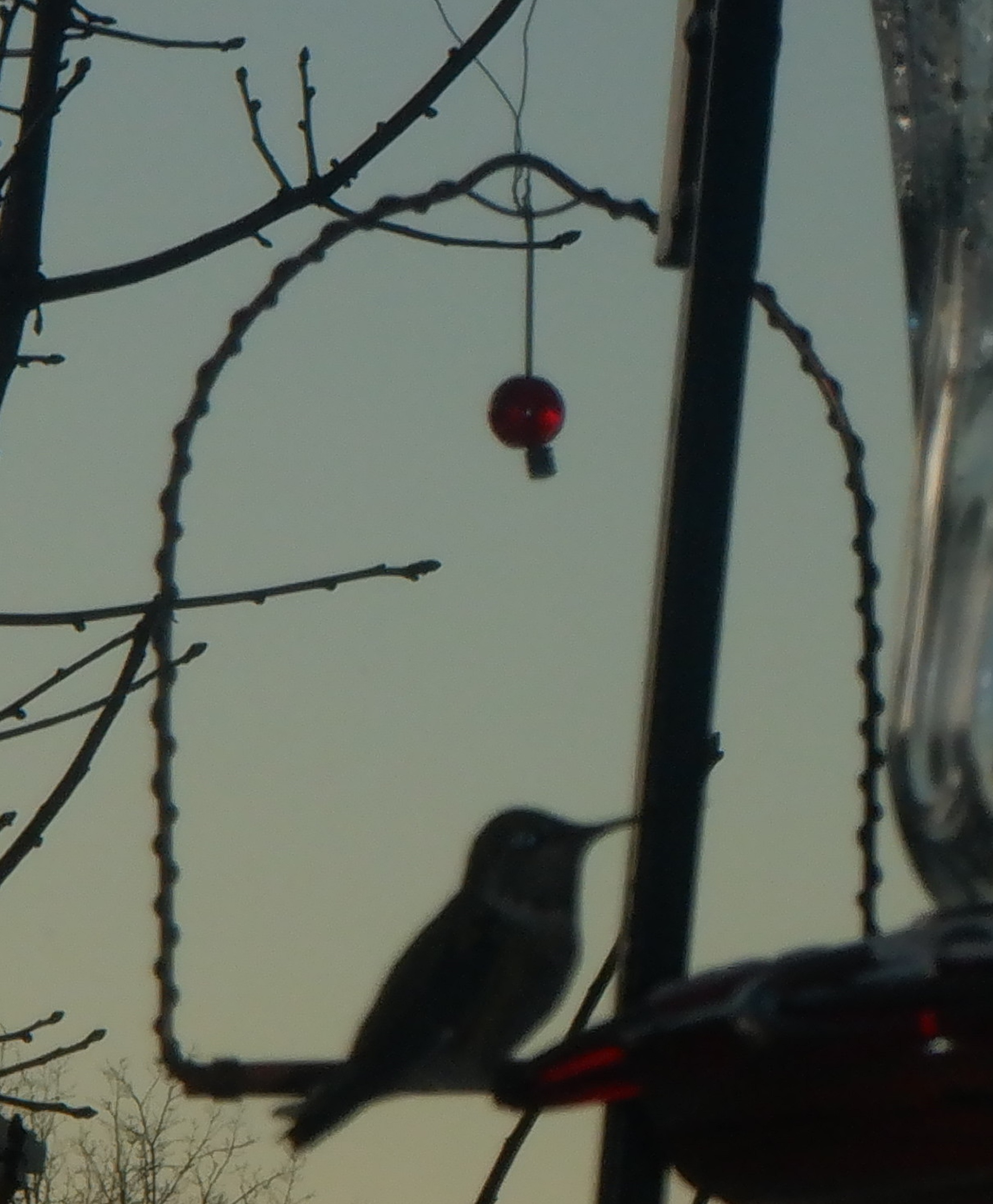 Photo taken by me 12-1-22