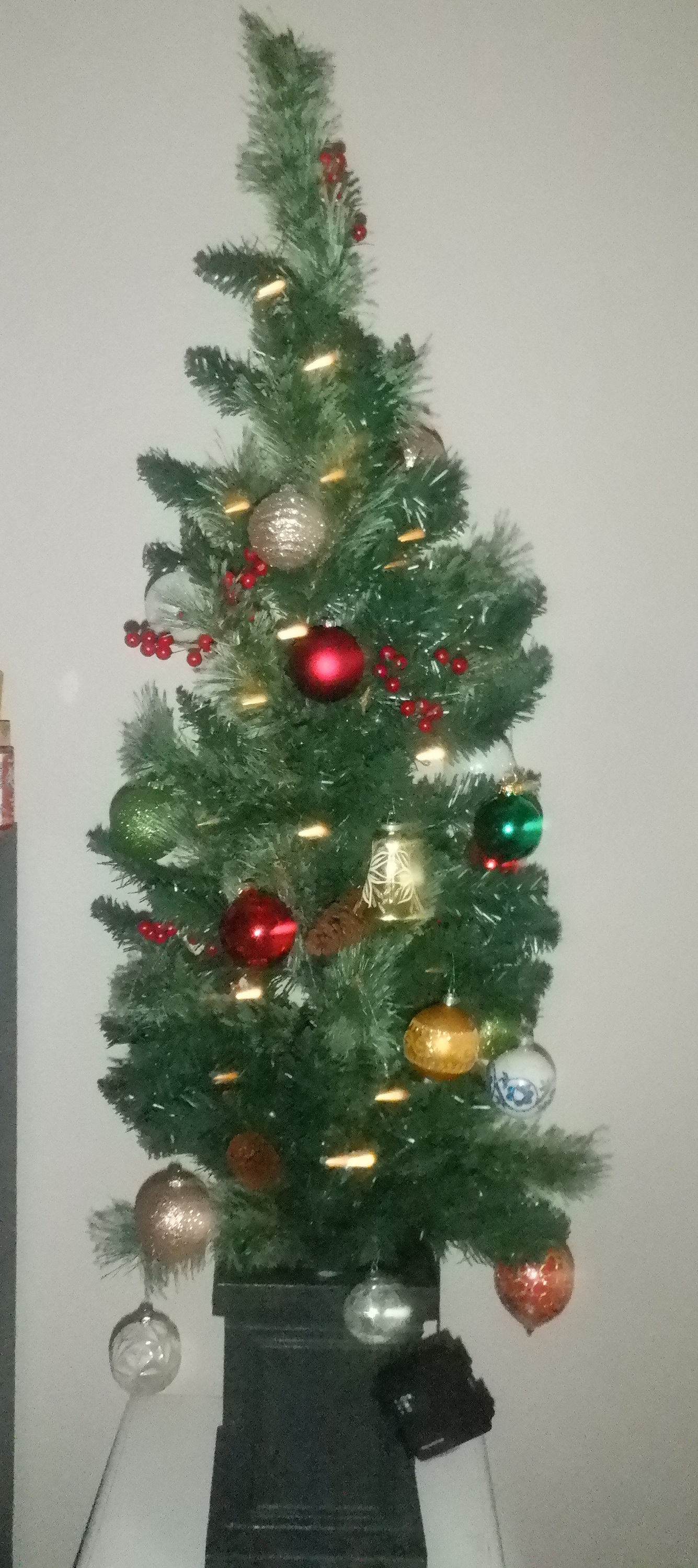 Photo I took of the tree with all the ornaments on