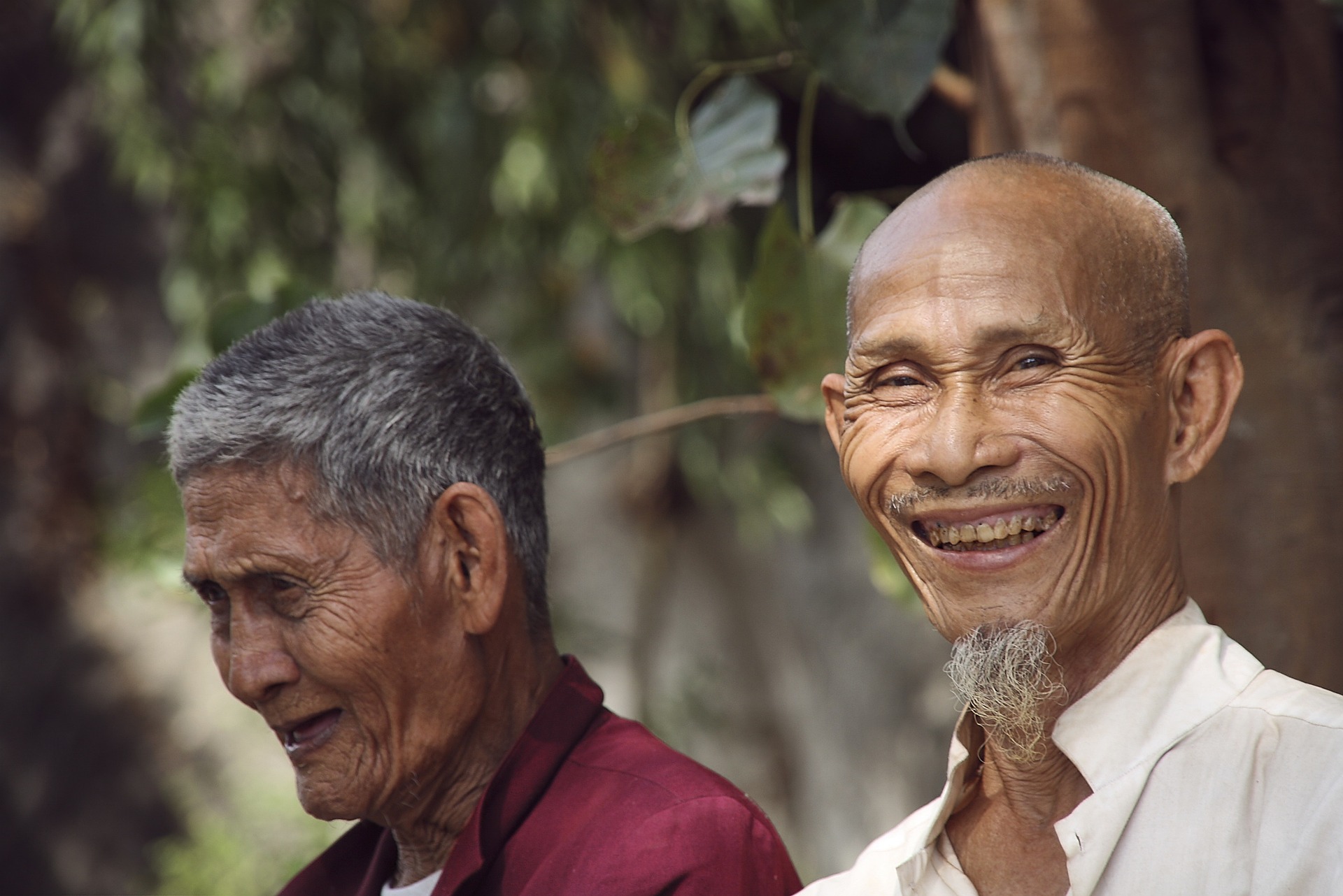 The two Zen masters liked to chew the Zen together The two Zen masters liked to chew the Zen together