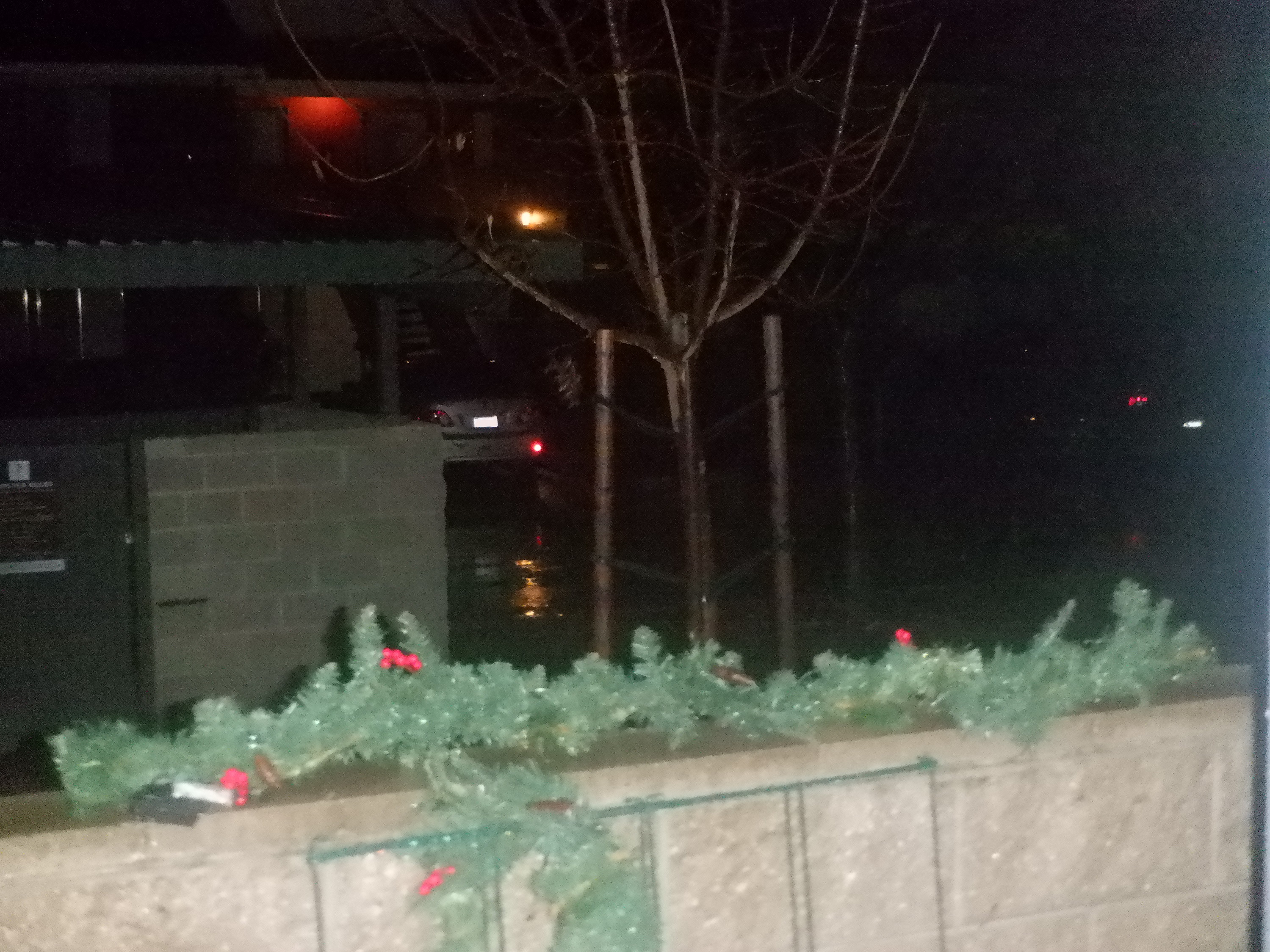 Photo I took from the patio door Photo I took from the patio door