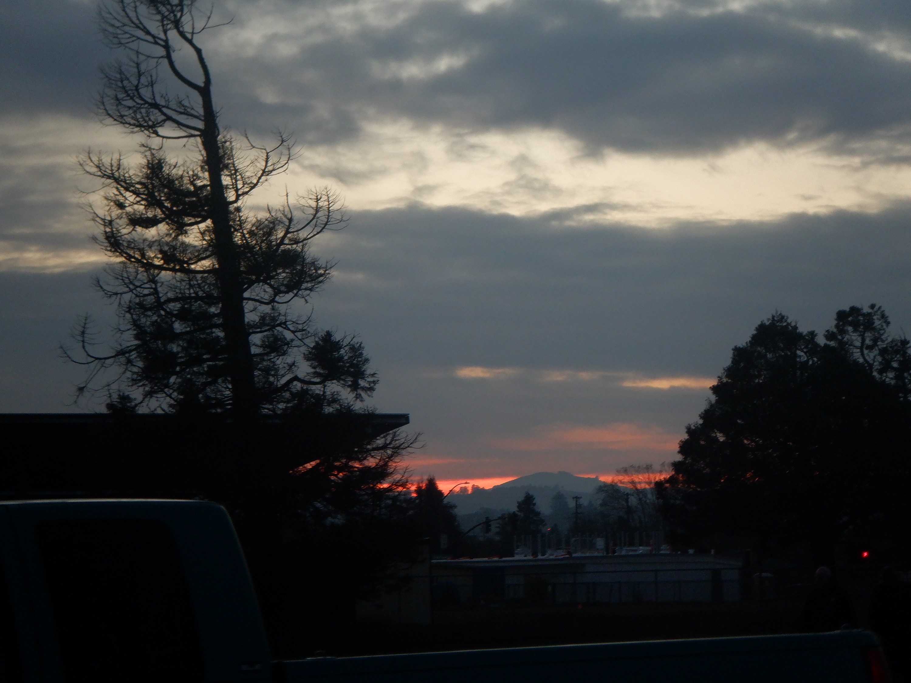 Photo I took on my afternoon walk Photo I took on my afternoon walk