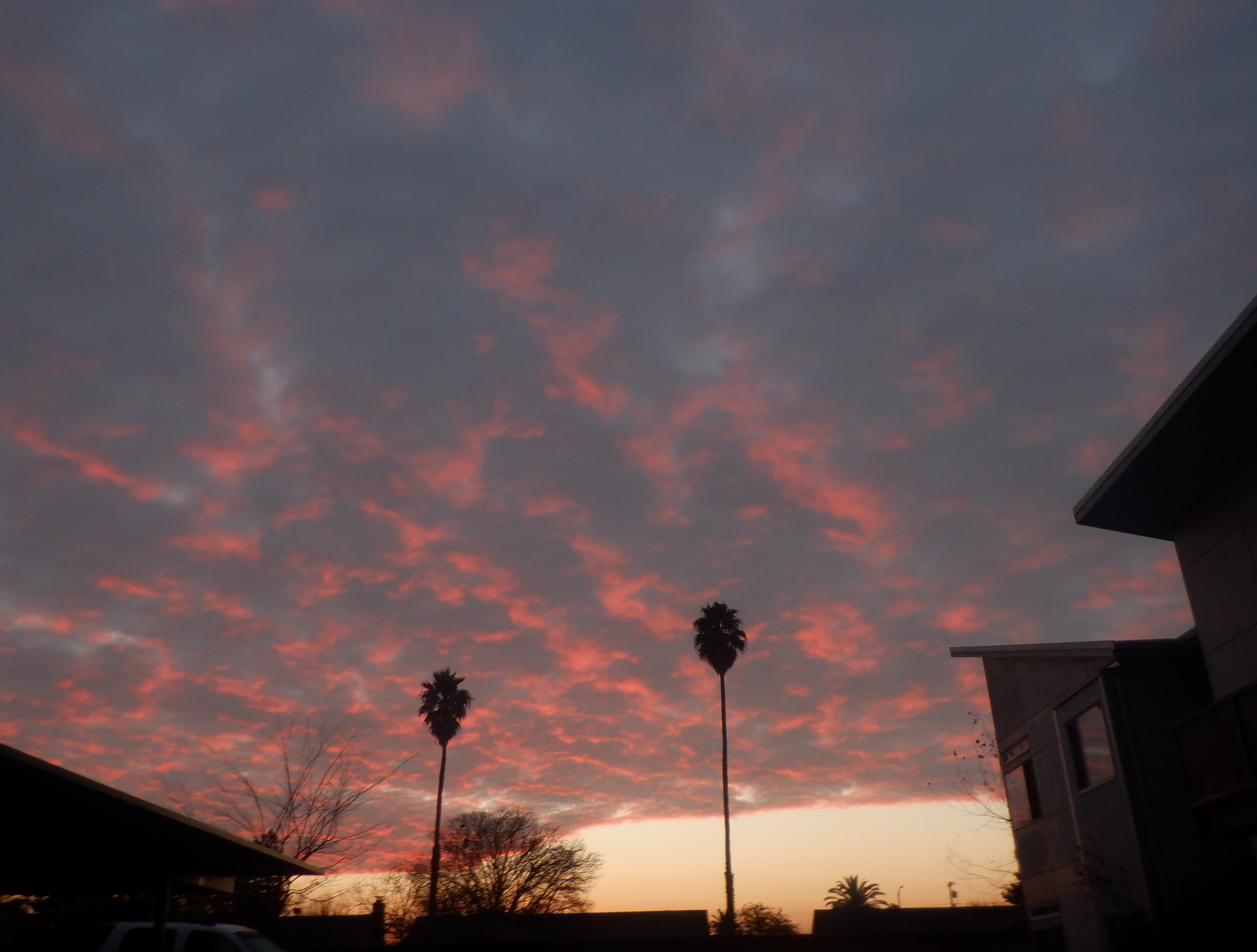 Photo taken by me 12-22-22 Photo taken by me 12-22-22