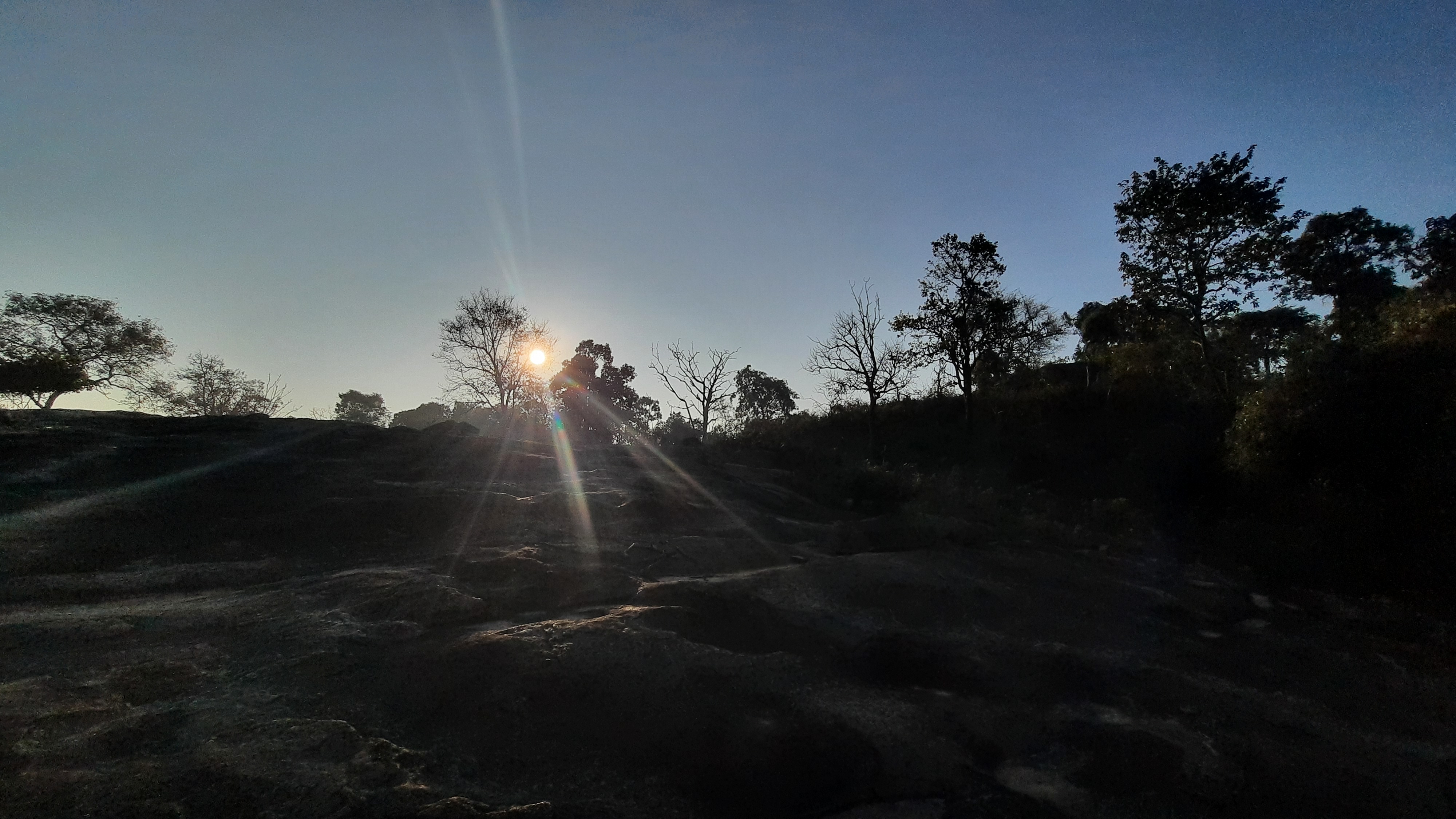 Sunrise Sunrise