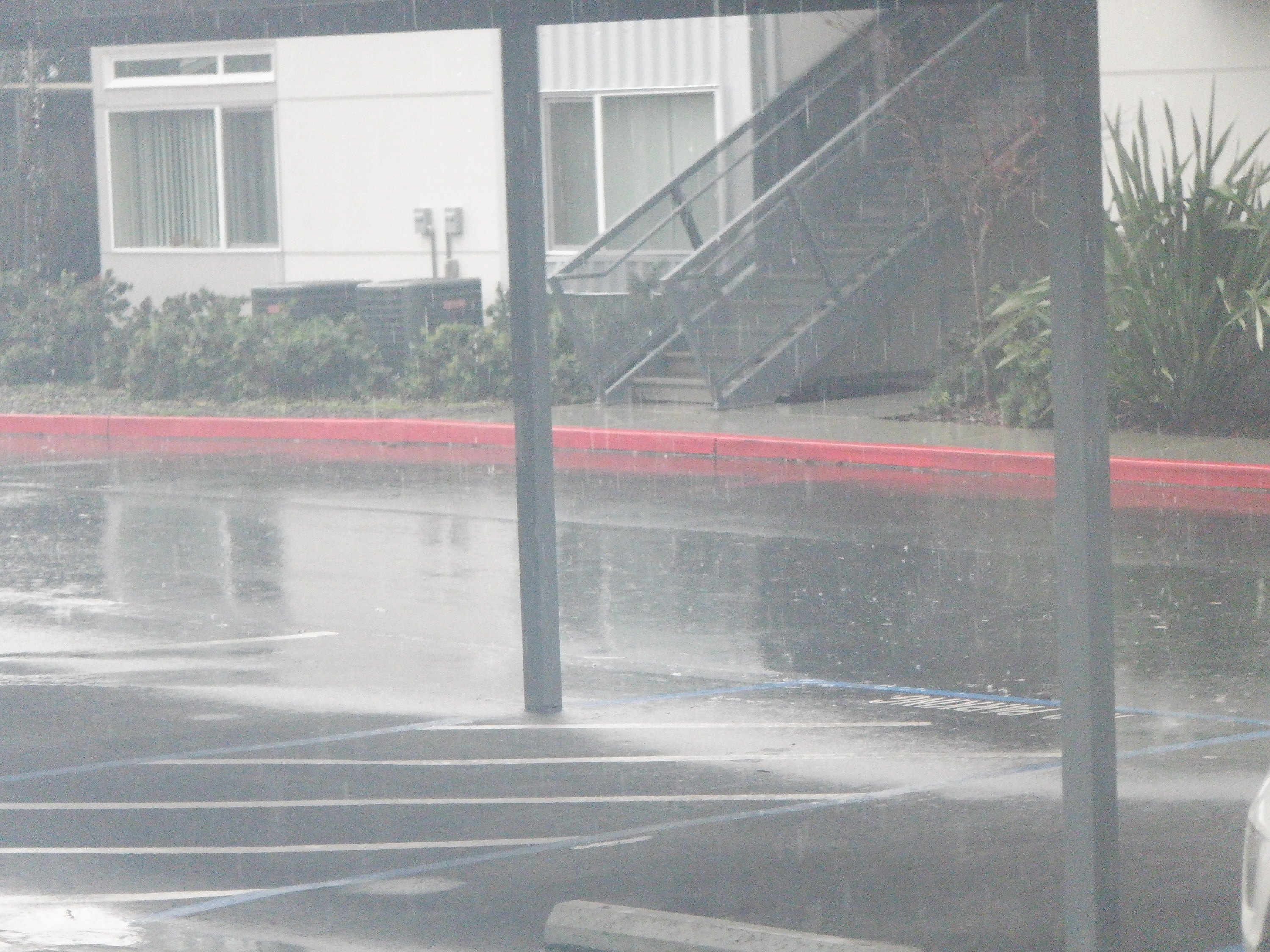 Photo I took of rain out the patio door. Photo I took of rain out the patio door.