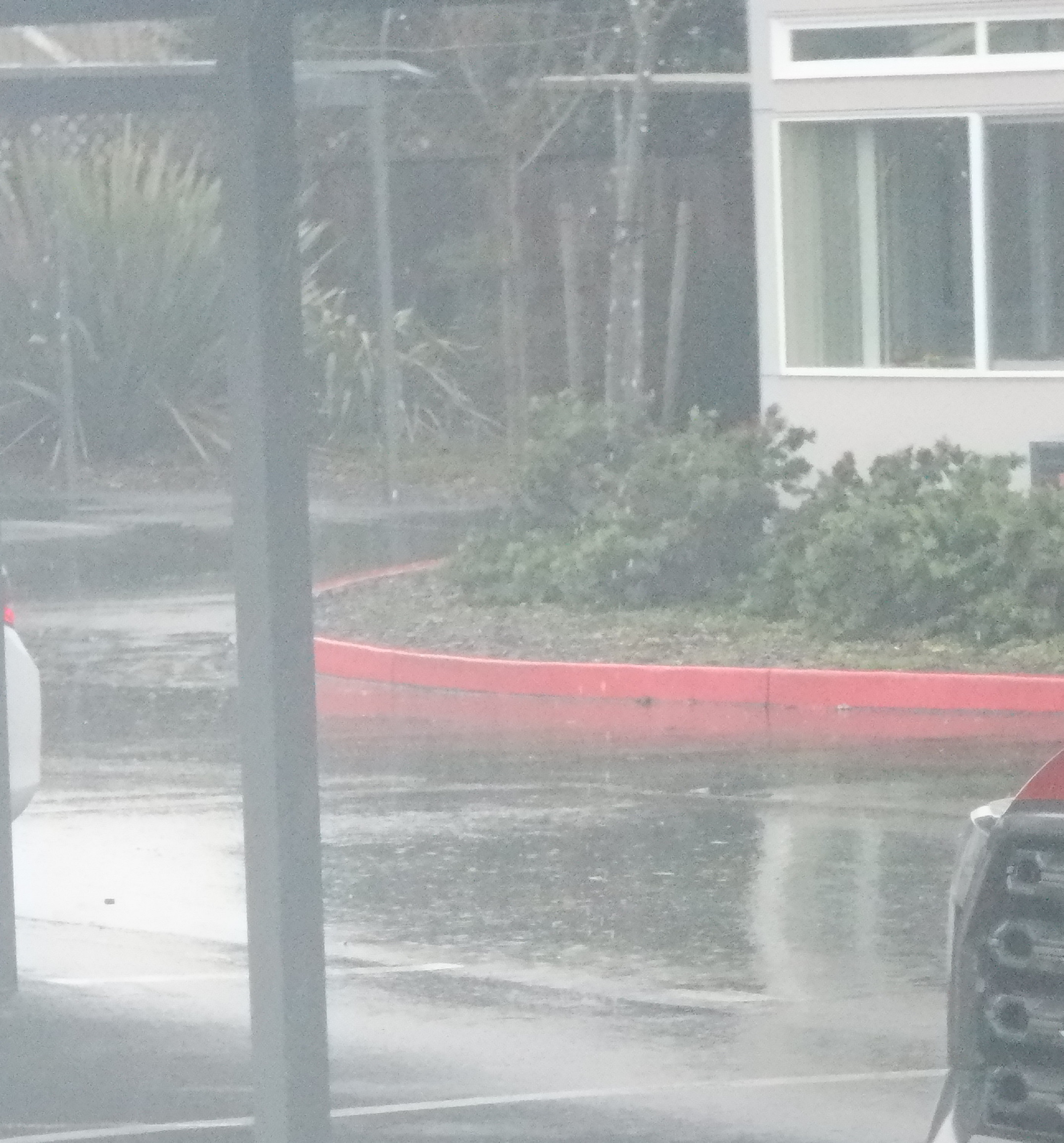 Photo I took when it rained really hard Photo I took when it rained really hard