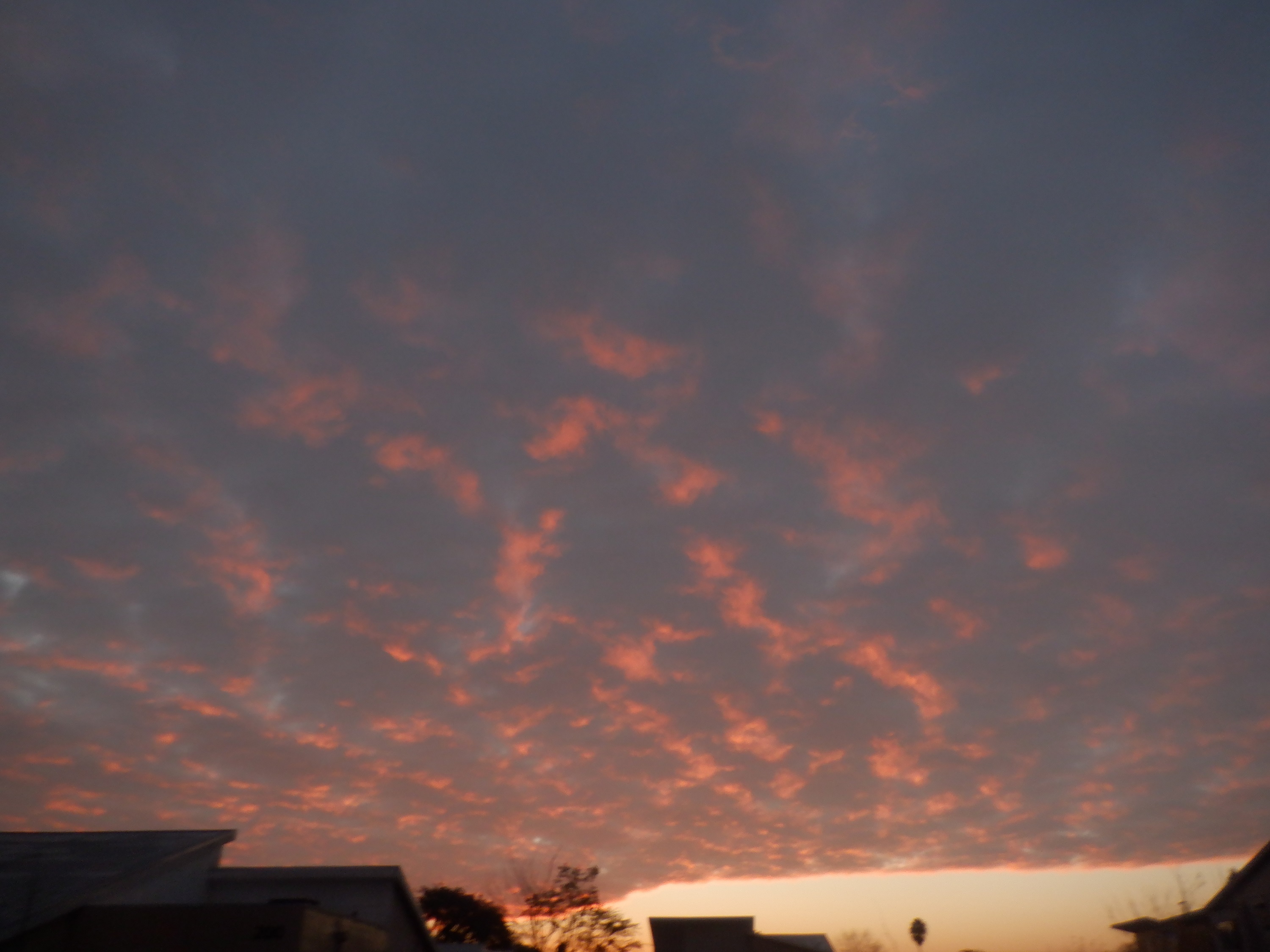 Photo taken by me 12-29-22