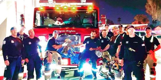 Firefighters of the Phoenix fire department save the life of a dog who is pictured in the middle.