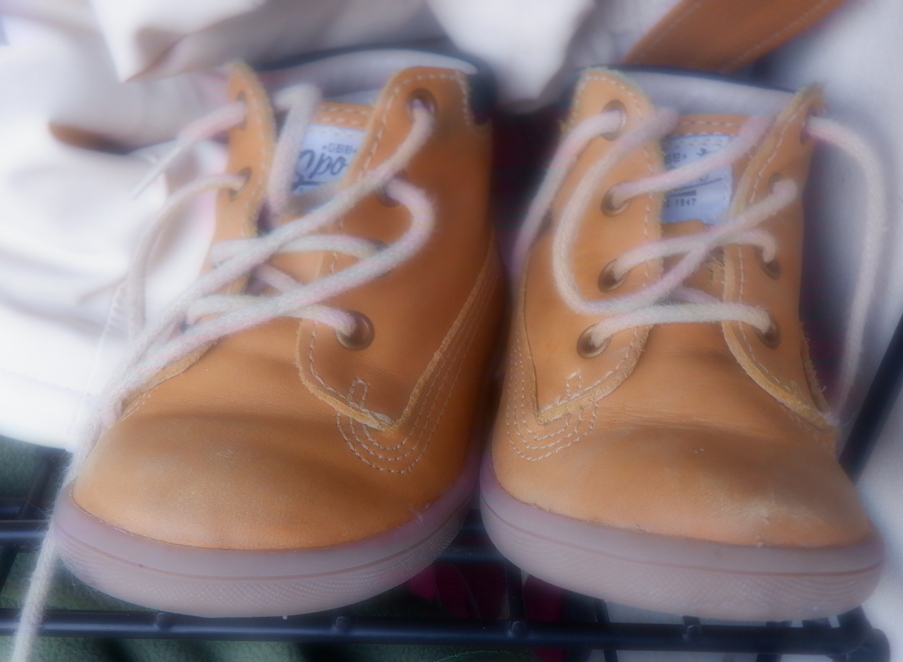 Photo taken by me of kid's shoes 1-19-23