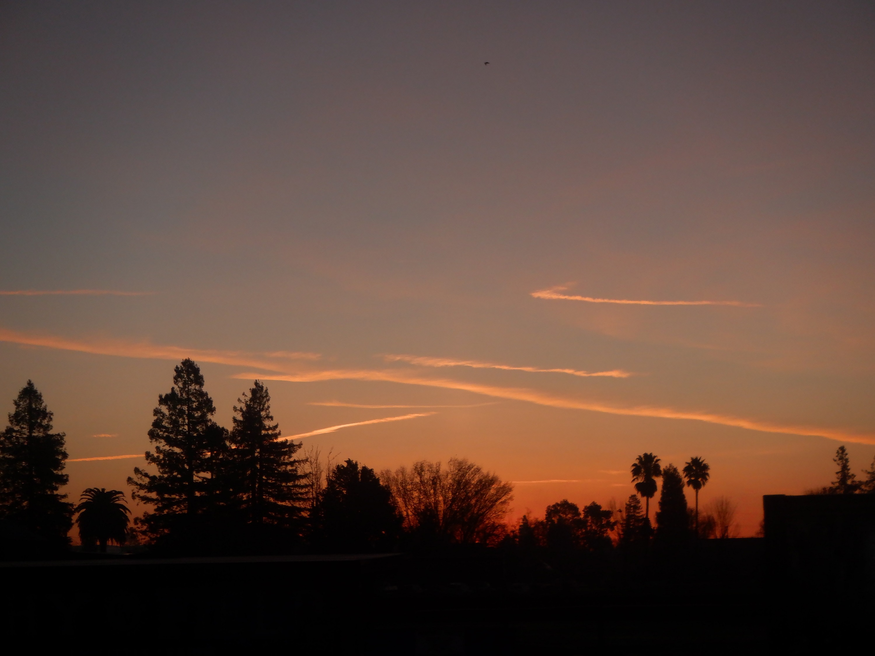 Photo I took this morning 1-19-23 Photo I took this morning 1-19-23