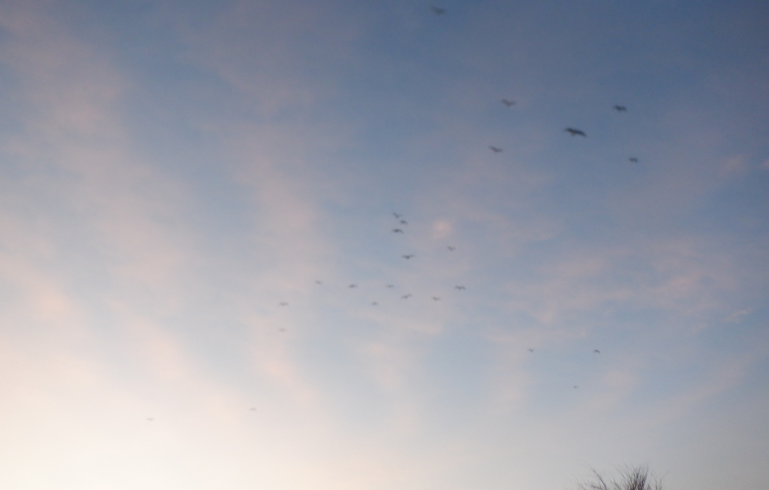 Photo I took yesterday waiting for the bus Photo I took yesterday waiting for the bus