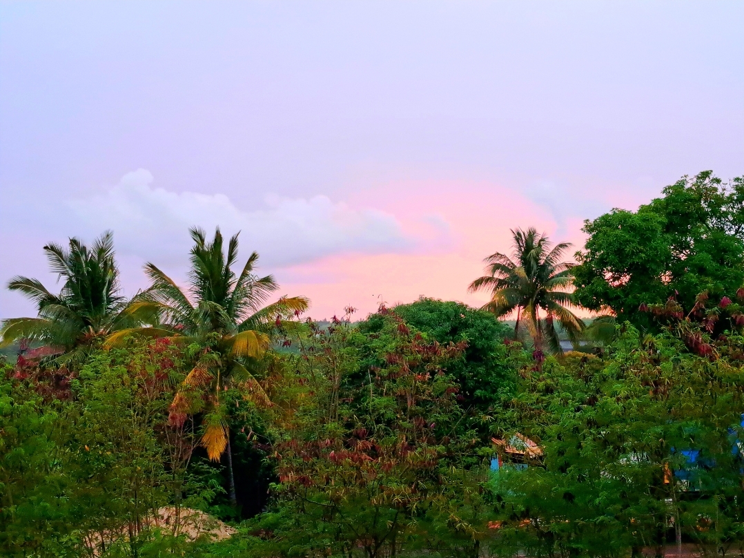 Captured by me Captured by me