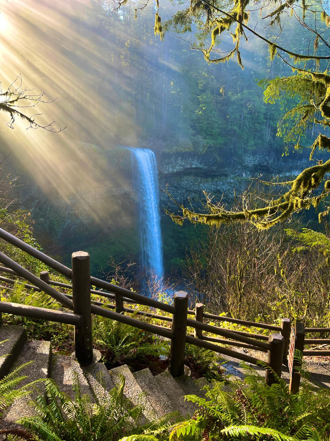 Another Hike at Silver Falls - 3252956 