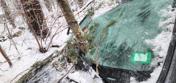 A tree branch crashes into a windshield of an auto in Lee New Hampshire 