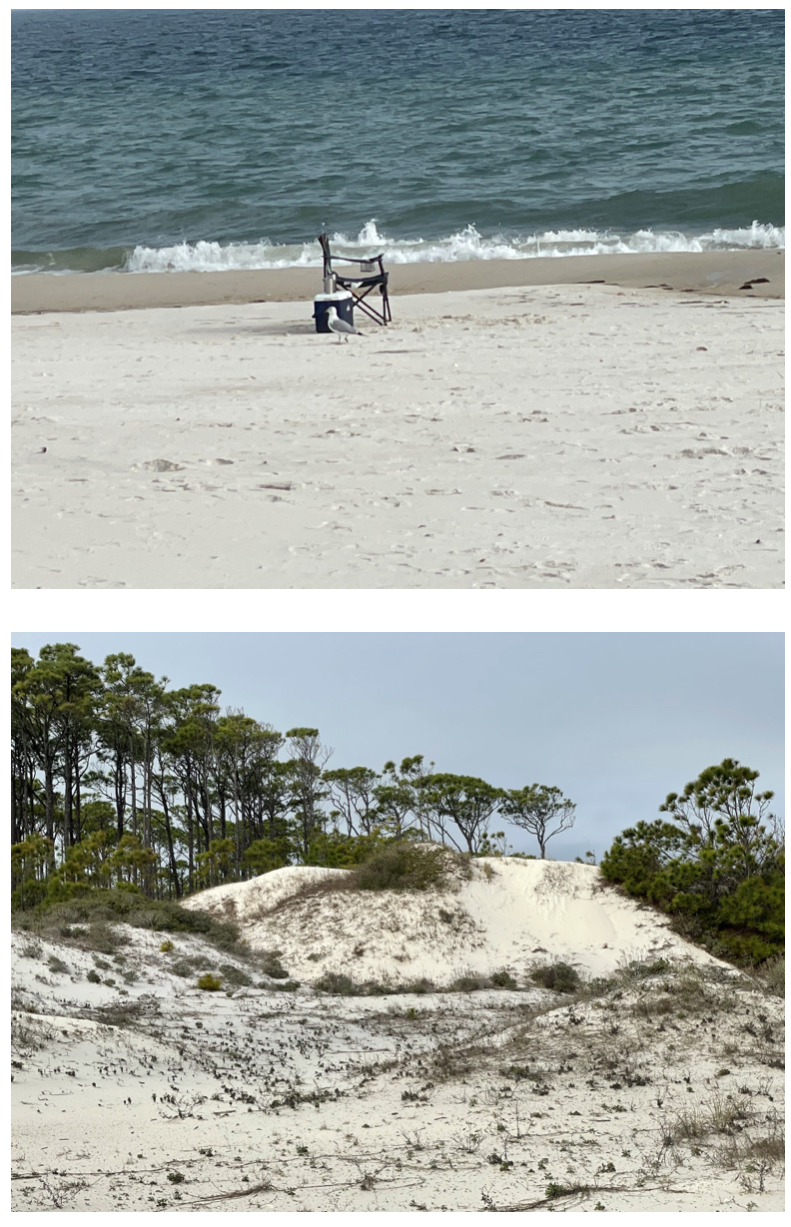 The Gulf and the dunes at St. George Island State Park, Florida.  Photos taken by and the property of FourWalls.