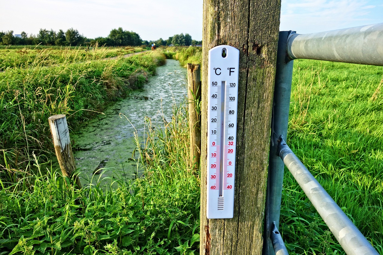 Picture of a thermometer from Pixabay
