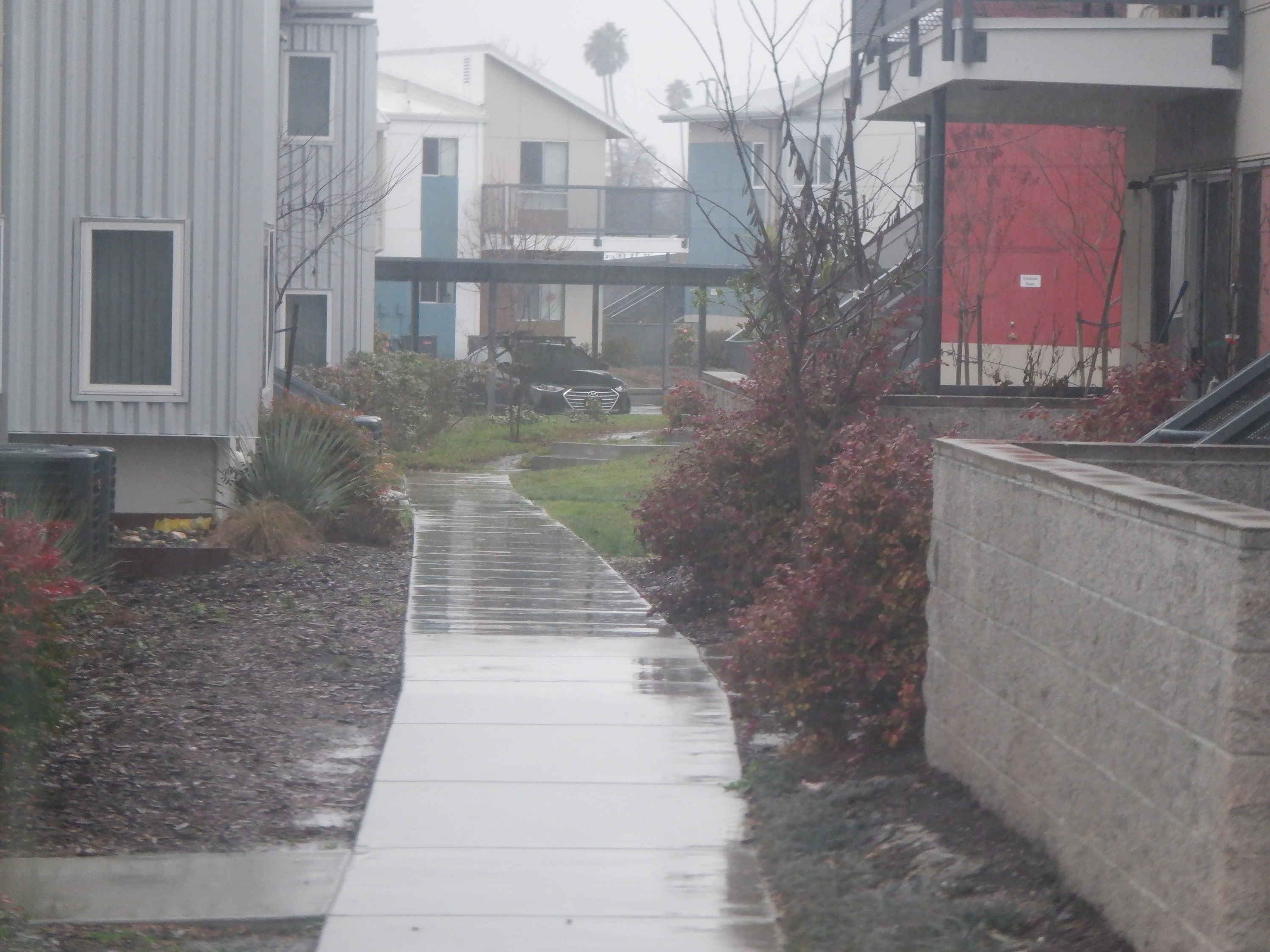 Photo I took of the wet walkway out the kitchen window Photo I took of the wet walkway out the kitchen window