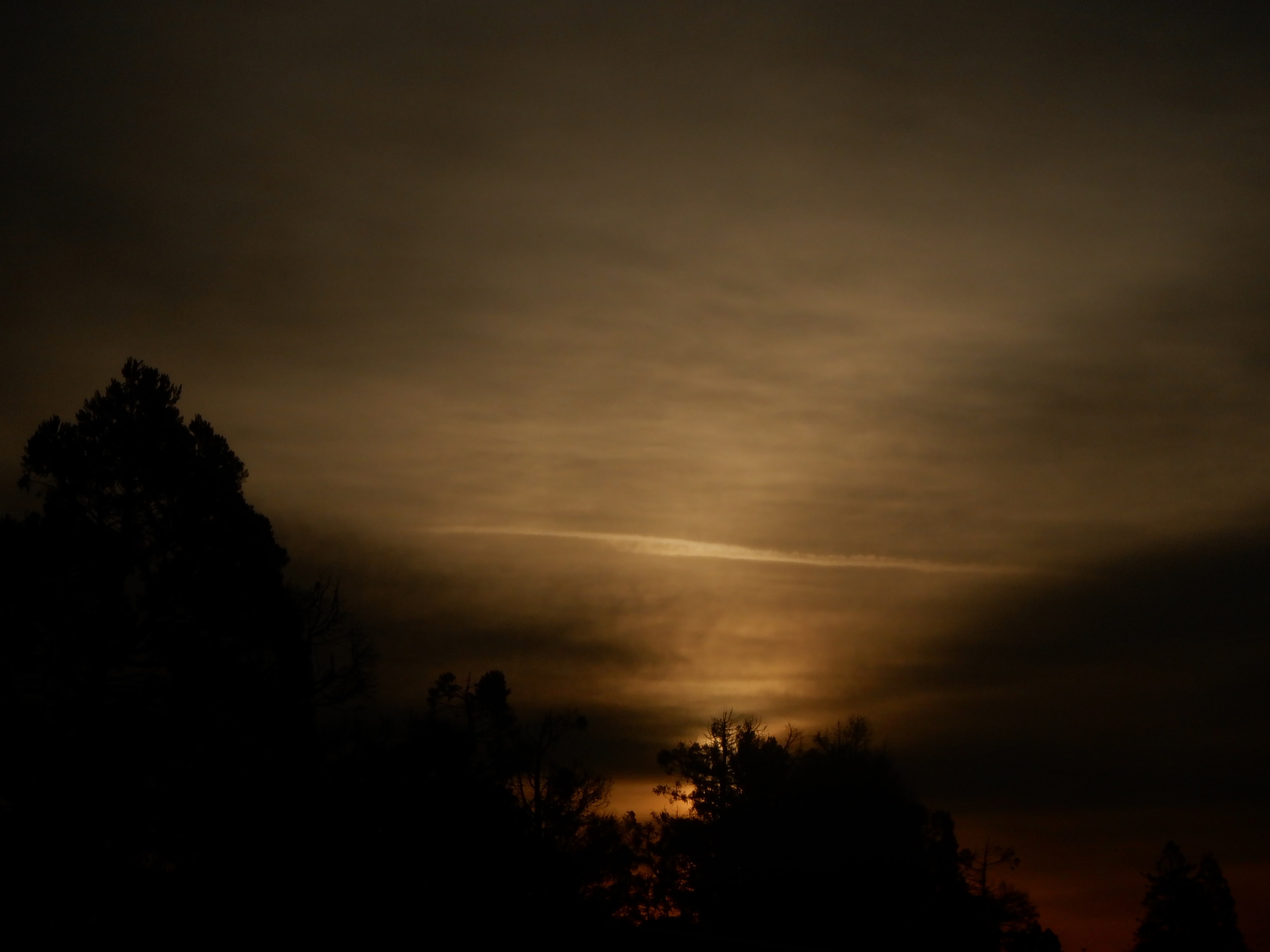 Photo I took on the way to the bus stop this morning 2-16-23 Photo I took on the way to the bus stop this morning 2-16-23
