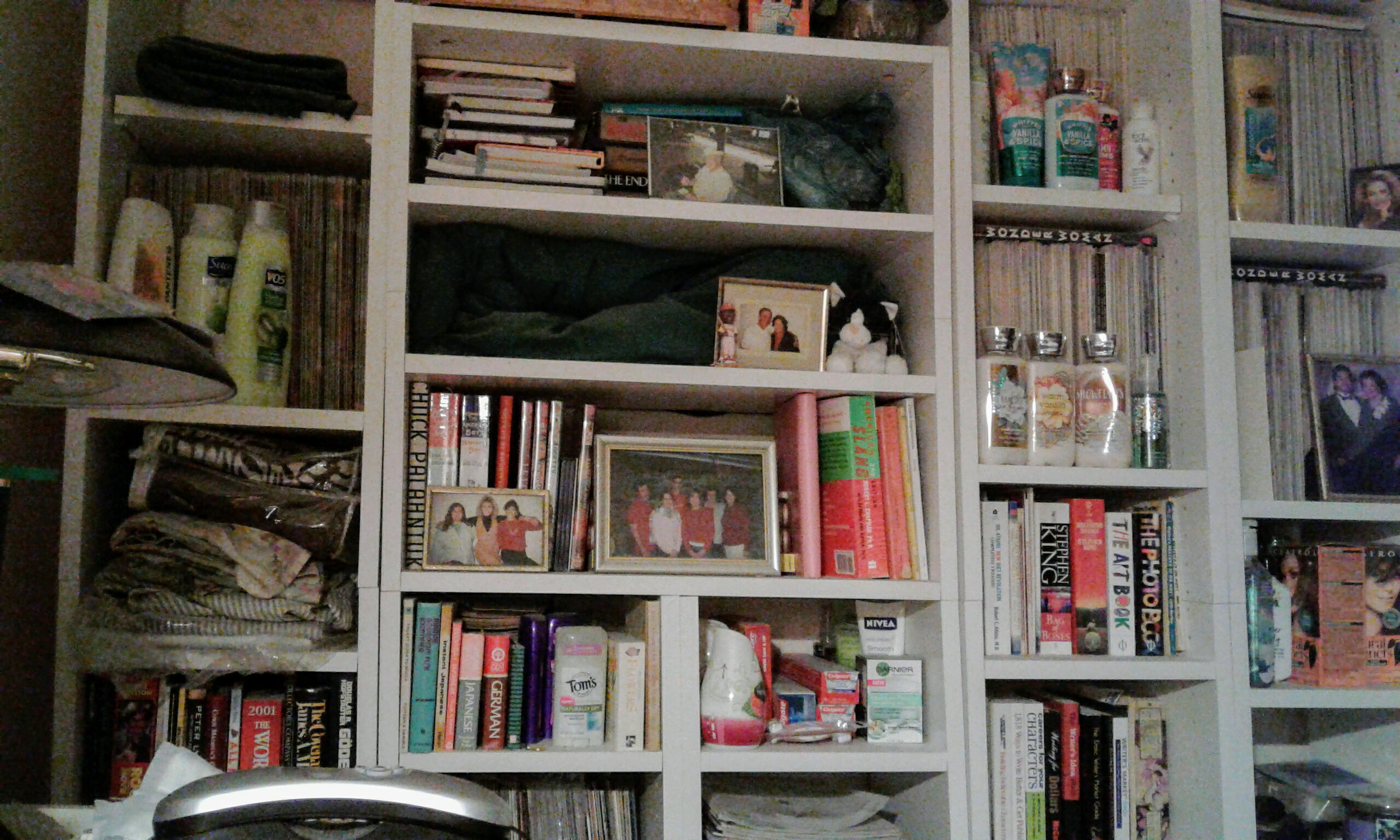 Picture of the shelves in my bedroom