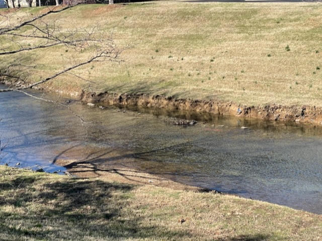 Beargrass Creek near the Home Depot. Photo taken by and the property of FourWalls. Beargrass Creek near the Home Depot. Photo taken by and the property of FourWalls.
