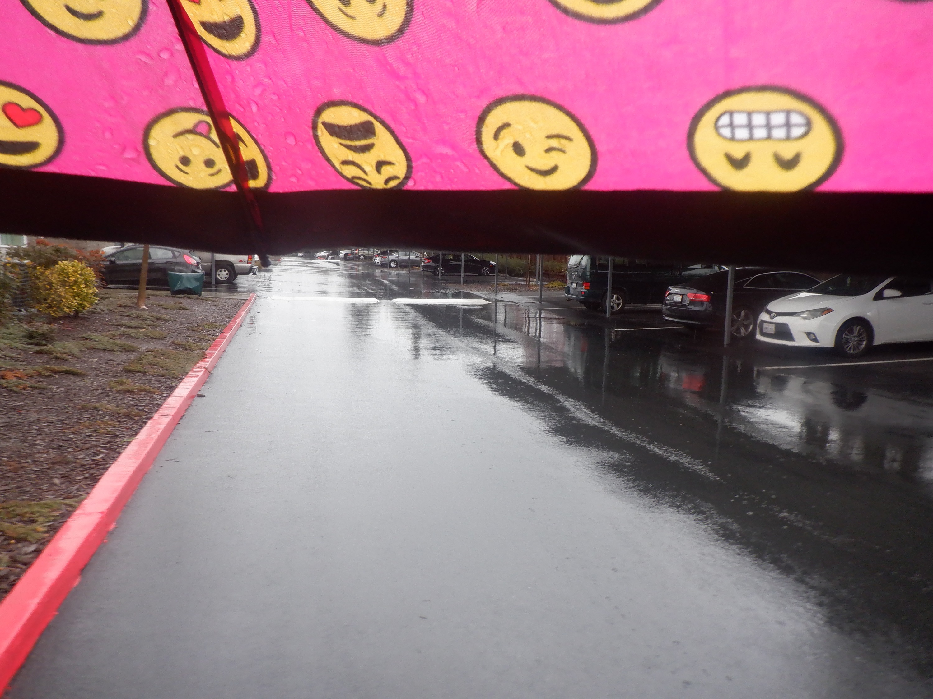 Photo I took outside from under my umbrella Photo I took outside from under my umbrella