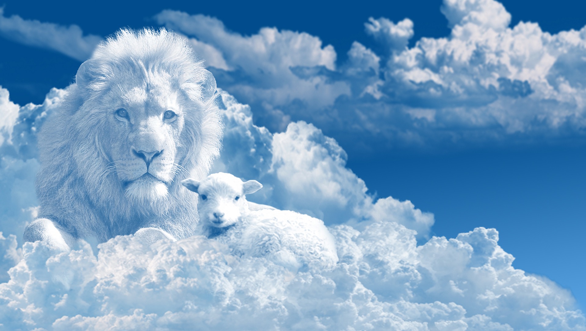 Image by Jeff Jacobs from Pixabay Image by Jeff Jacobs from Pixabay
