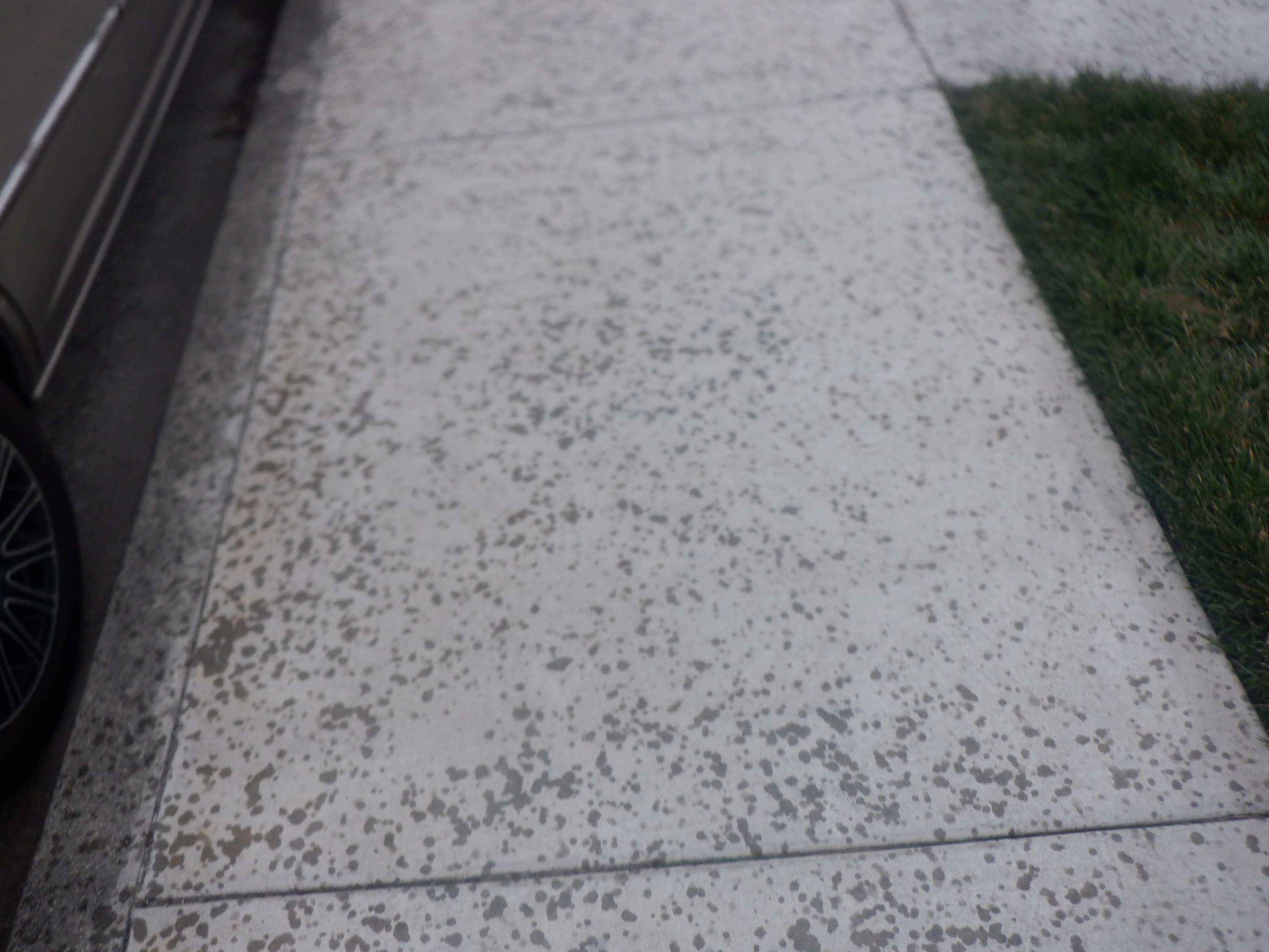 Photo I took of the raindrops on the sidewalk Photo I took of the raindrops on the sidewalk