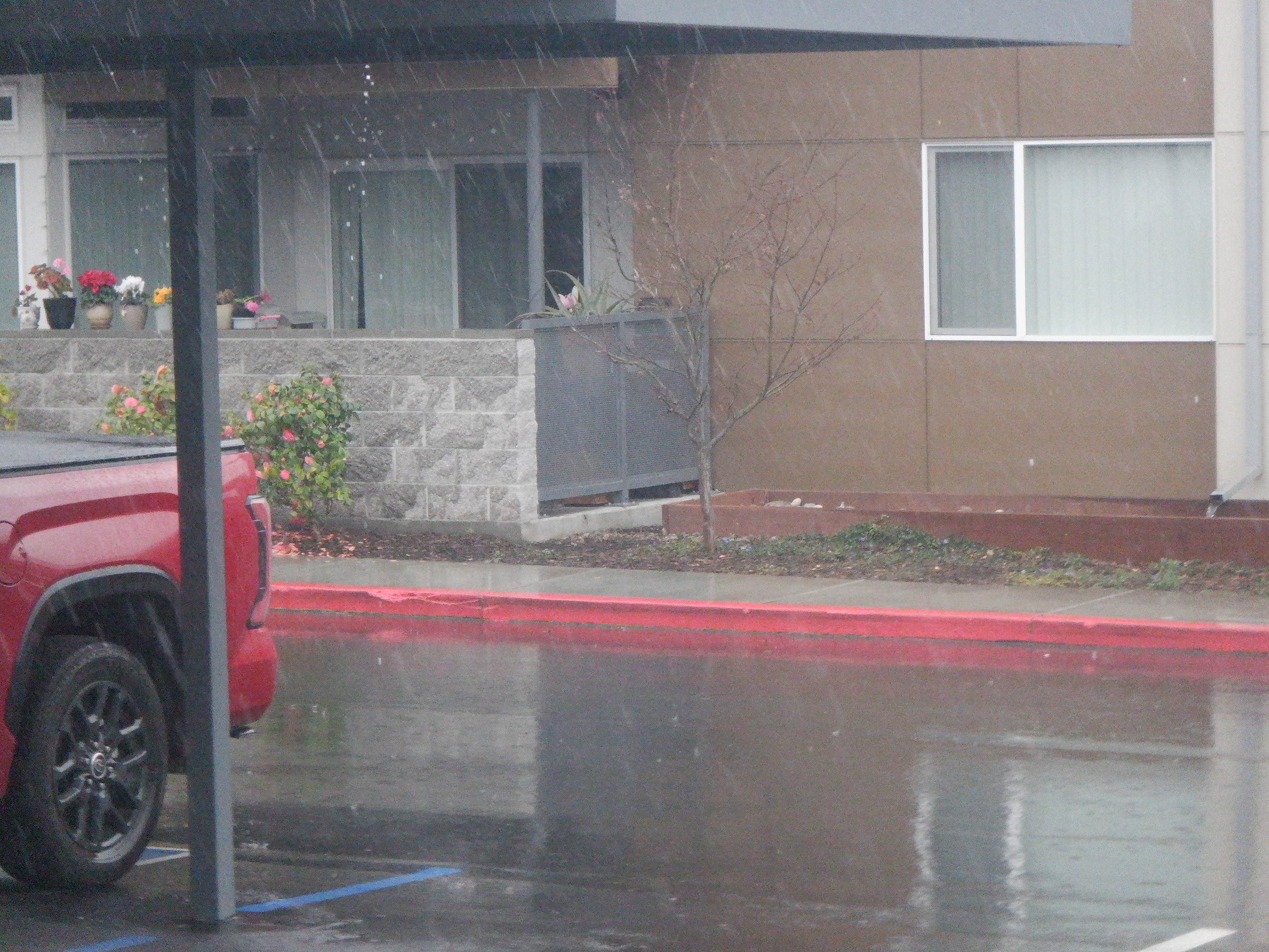 Photo I took from my patio door of the rain Photo I took from my patio door of the rain