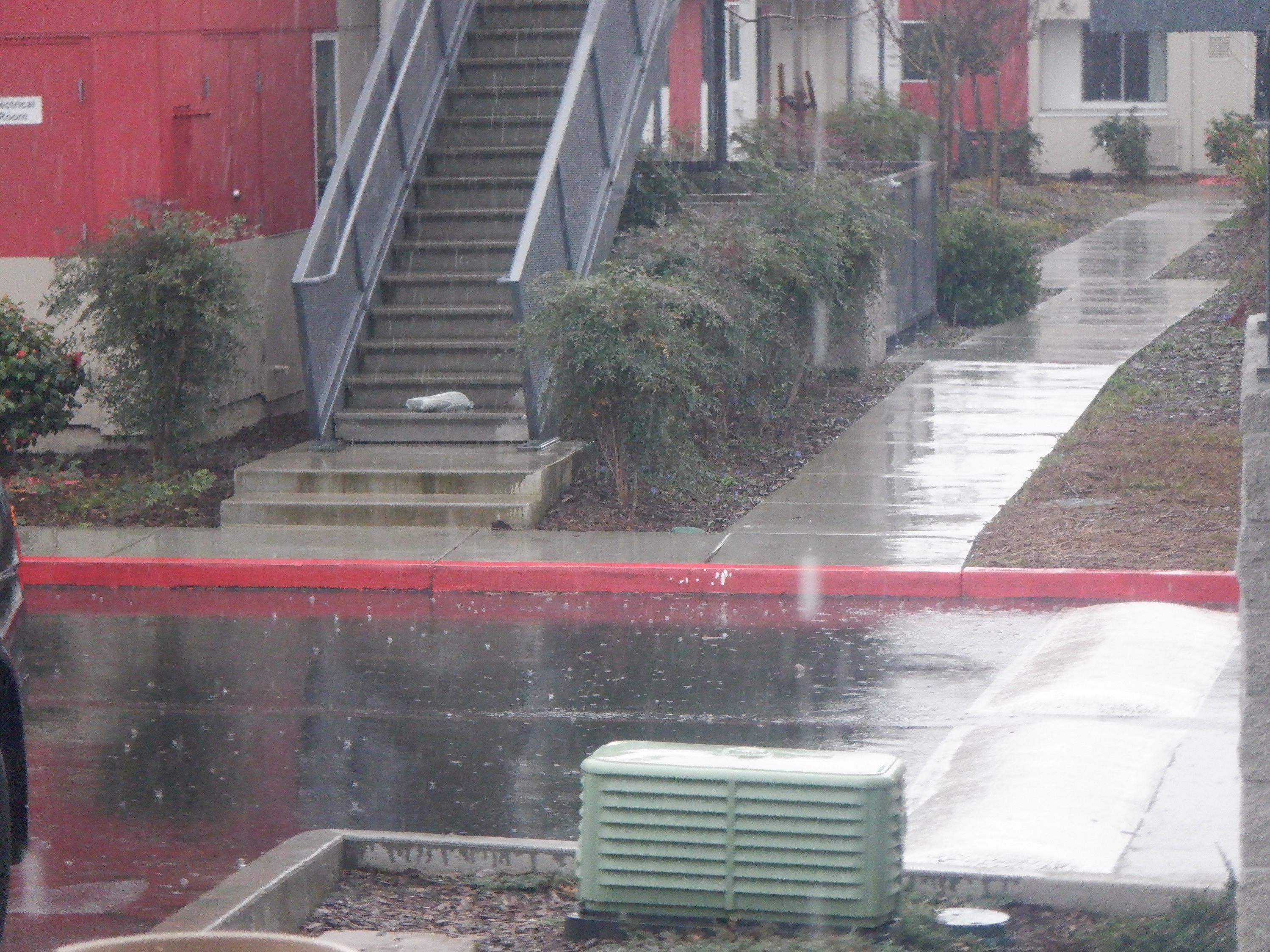 Photo I took from my patio door Photo I took from my patio door
