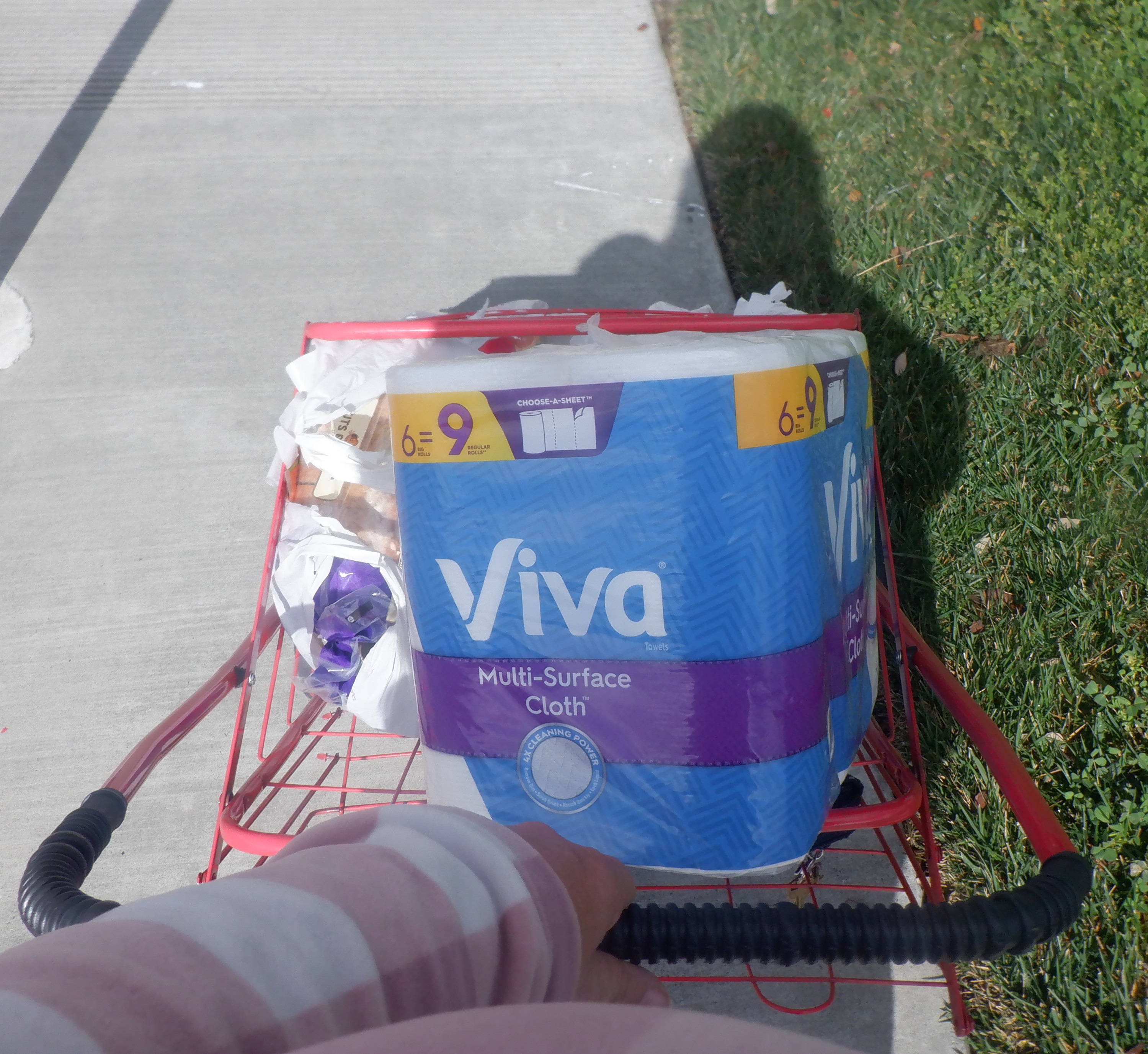 Photo I took of my full cart on the way home. Photo I took of my full cart on the way home.